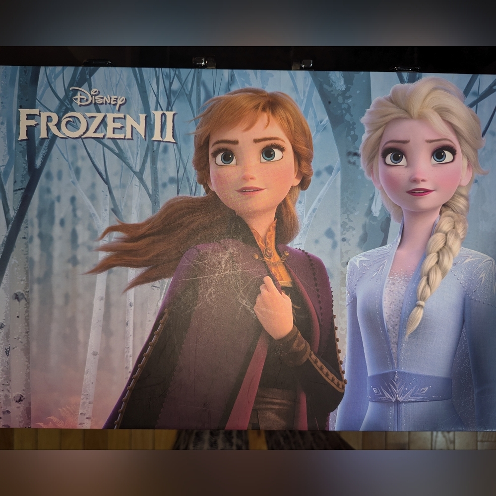 Frozen Activity Case (just the case)